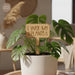 Wooden Plant Tags SVG Bundle - Svg Ocean
