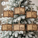 Bible Story Book Ornaments SVG Bundle - Svg Ocean