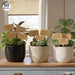 Wooden Plant Tags SVG Bundle - Svg Ocean