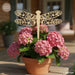 Dragonfly Garden Stakes SVG Bundle - Svg Ocean
