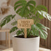 Wooden Plant Tags SVG Bundle - Svg Ocean
