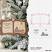 Bible Story Book Ornaments SVG Bundle - Svg Ocean