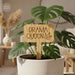 Wooden Plant Tags SVG Bundle - Svg Ocean