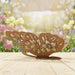 3D Floral Butterflies SVG Bundle - Svg Ocean
