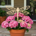 Dragonfly Garden Stakes SVG Bundle - Svg Ocean