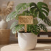 Wooden Plant Tags SVG Bundle - Svg Ocean
