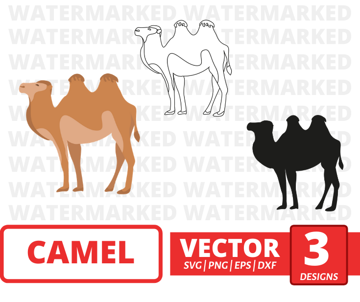 Camel SVG bundle vector for instant download - Svg Ocean — svgocean