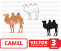 Camel svg