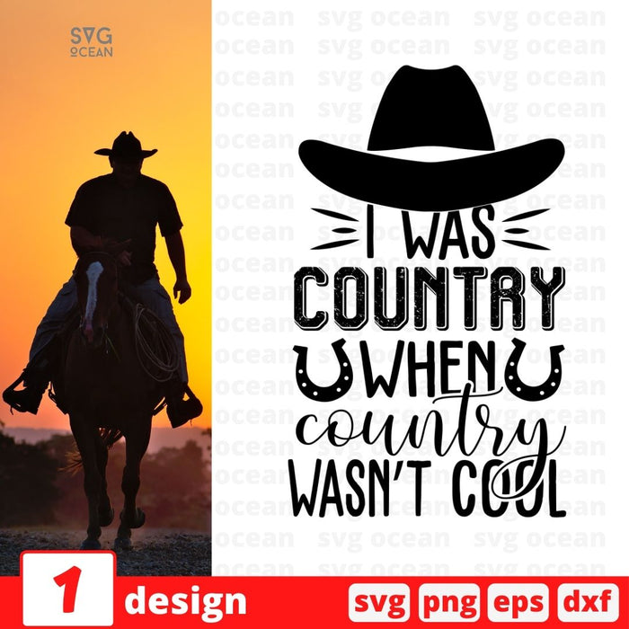 I was country when country wasn't cool