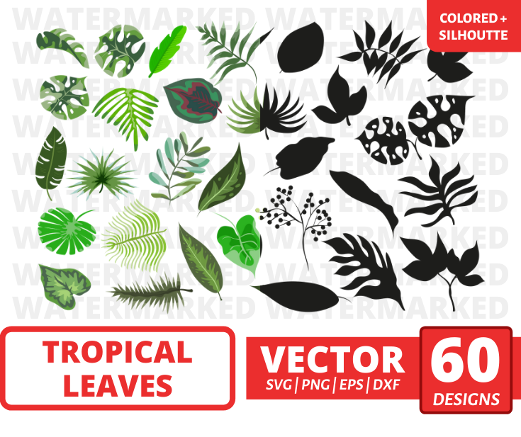 Tropical leaves svg