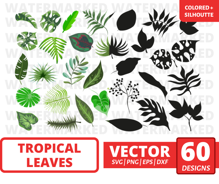 philodendron leaf svg Tropical leaves SVG bundle vector for instant download