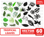 Tropical leaves svg
