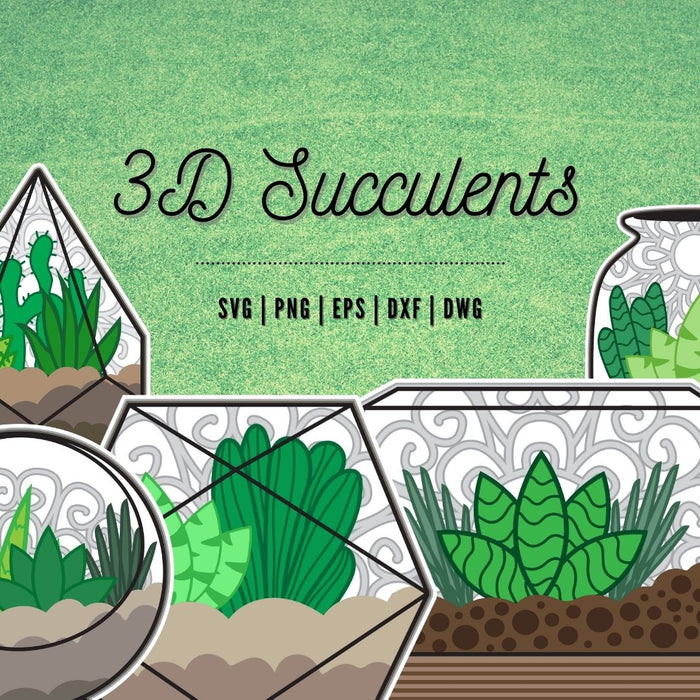 3D Succulents SVG Bundle