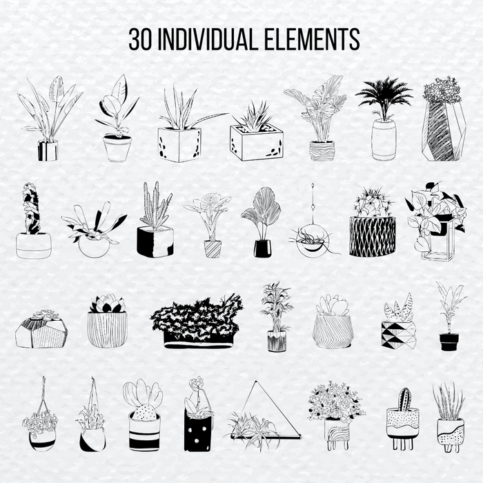 30 individual elements