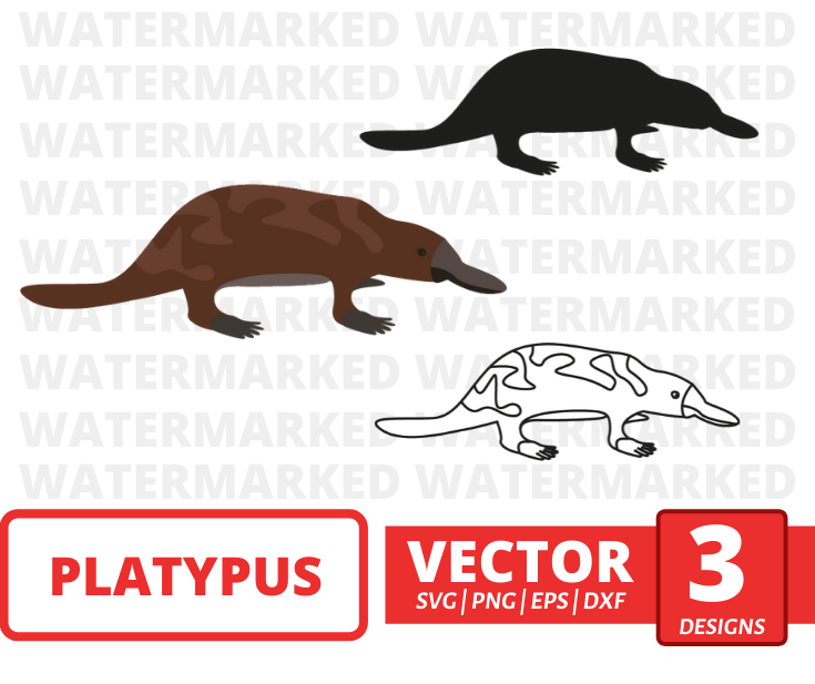 Platypus svg