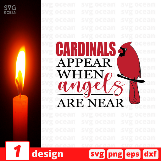 Cardinals appear when angels are near