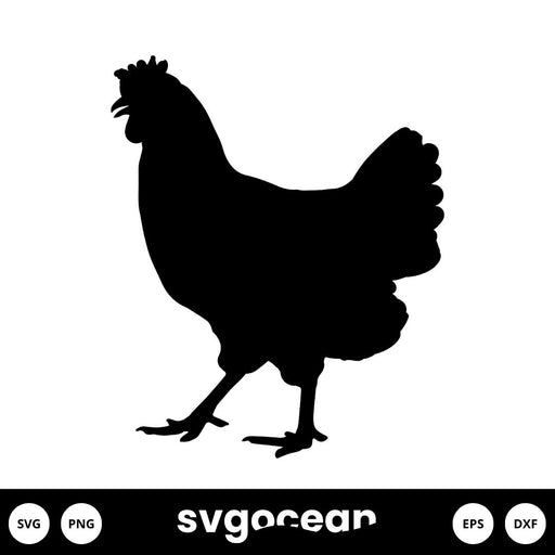 Chicken Svg - Svg Ocean