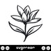 Magnolia Flower SVG - Svg Ocean