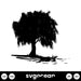 Willow Tree Svg - Svg Ocean