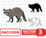 Raccoon svg