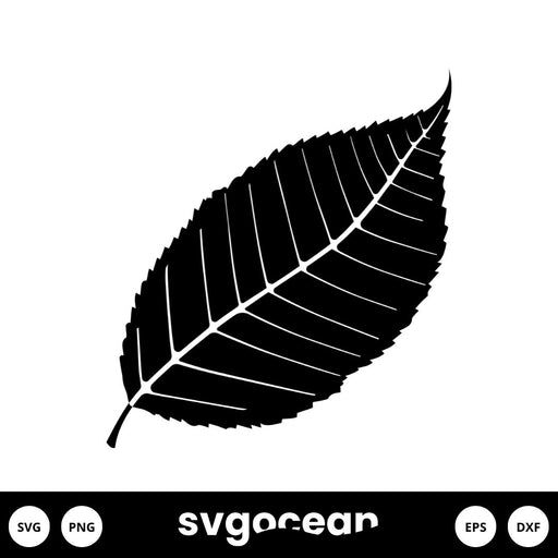 Fall Leaves Svg - Svg Ocean
