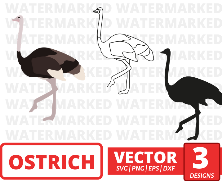 Ostrich svg