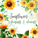 Sunflowers  Watercolor clipart bundle - Svg Ocean