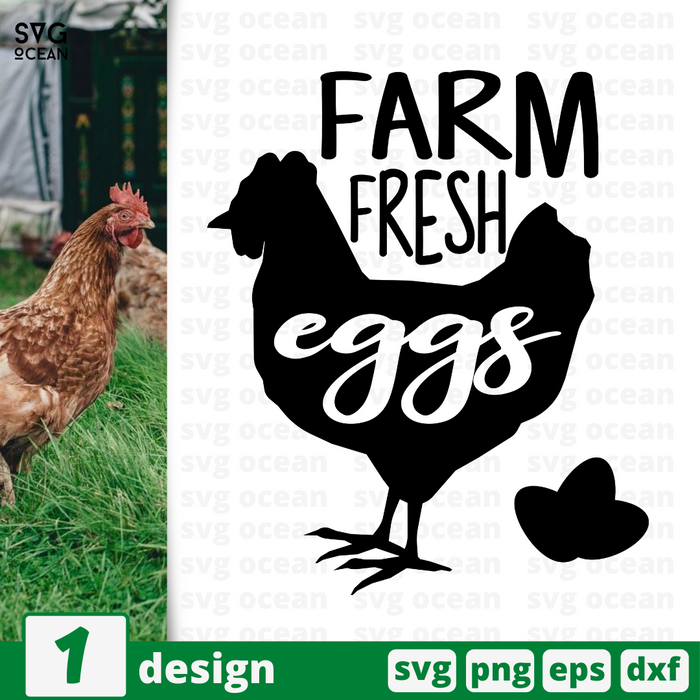 Farm fresh eggs SVG vector bundle - Svg Ocean