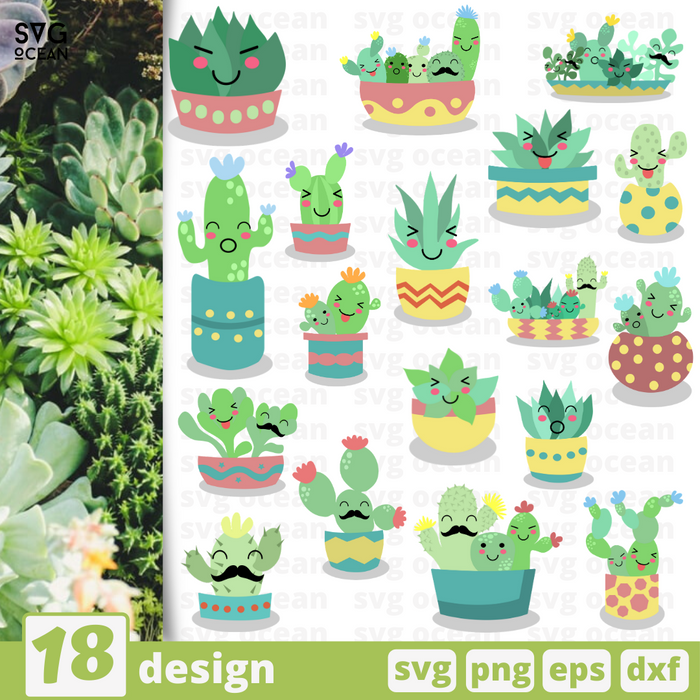 svg succulent Succulents SVG bundle vector for instant download