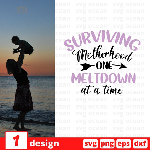 Survivin motherhood one meltdown at a time