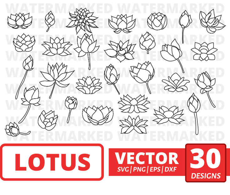 Lotus outline svg
