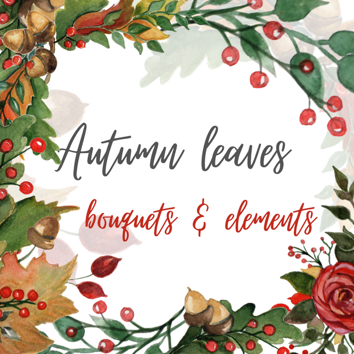 Autumn leaves bouquets and elements