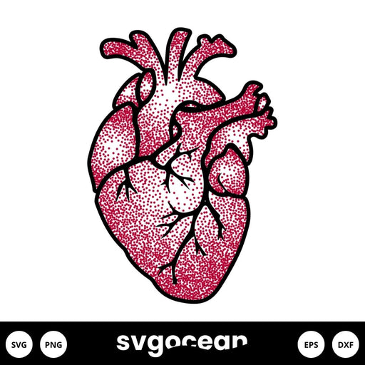 Anatomical Heart SVG - Svg Ocean
