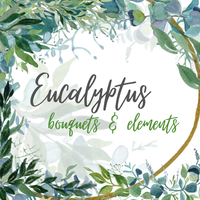 Eucalyptus  Watercolor clipart bundle - Svg Ocean