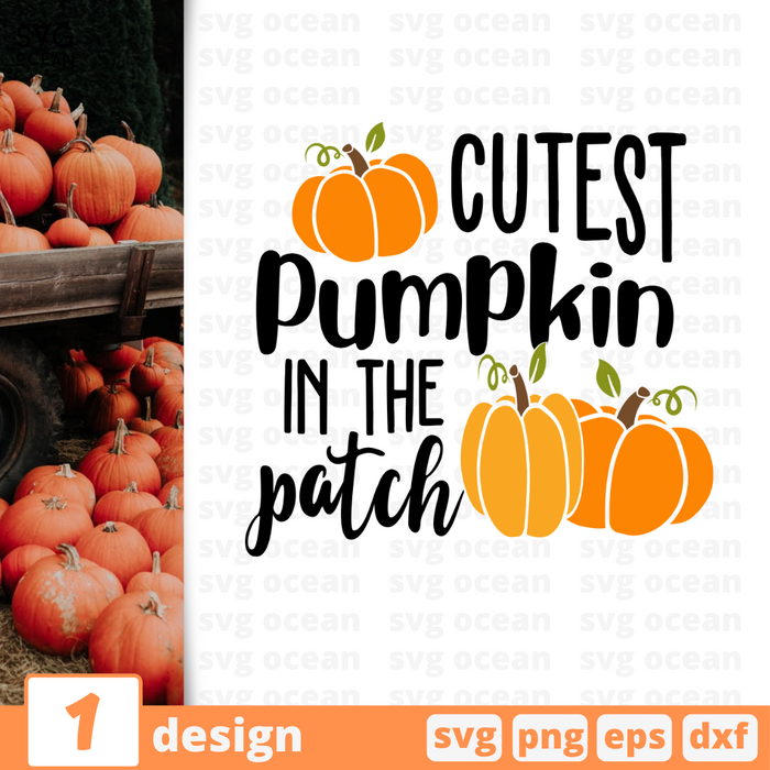 Cutest pumpkin in the patch SVG vector bundle - Svg Ocean