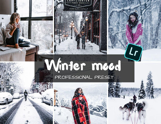 Winter mood mobile lightroom preset